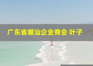 广东省潮汕企业商会 叶子